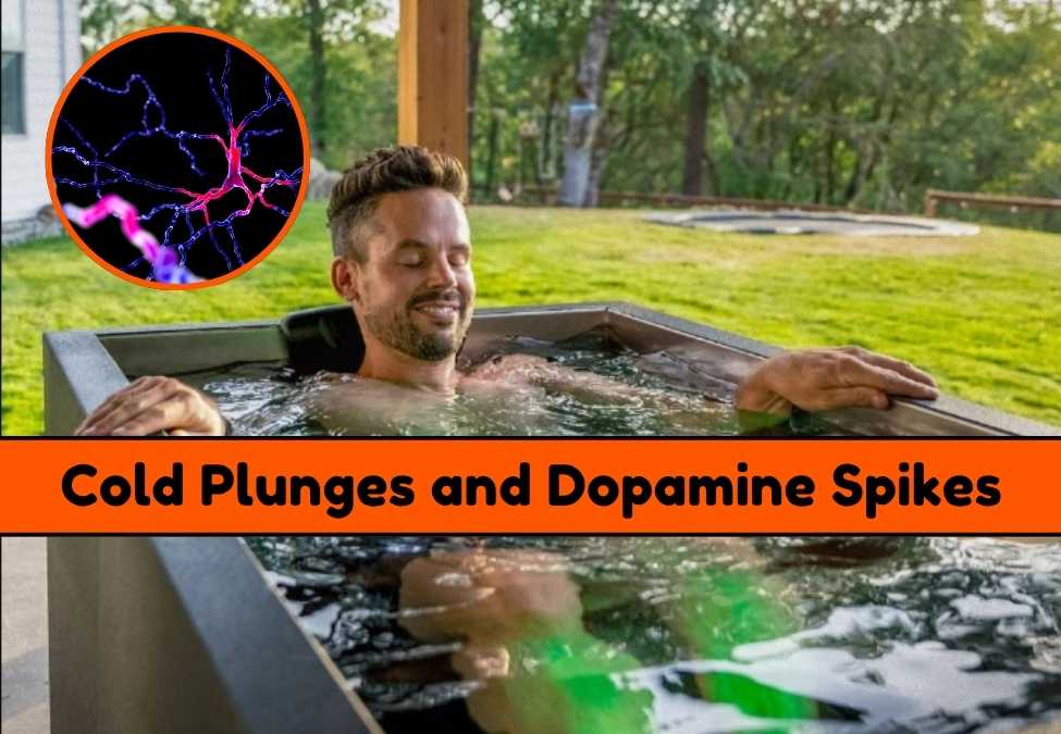 Cold Plunges and Dopamine Spikes: What's Real?