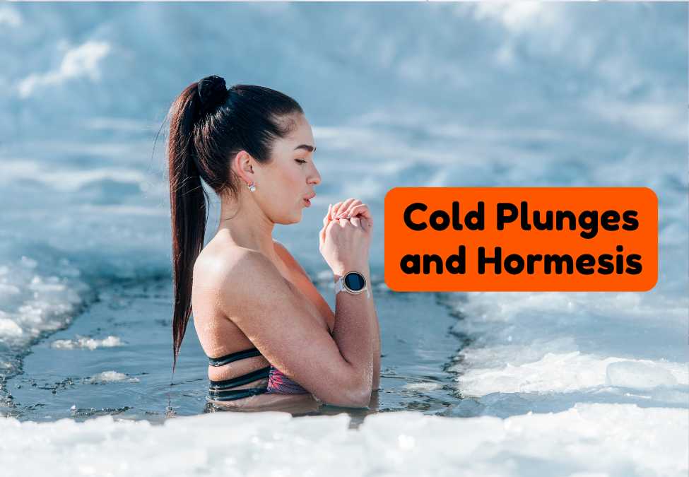 Cold Plunges & Hormesis: How Controlled Stress Boosts Health