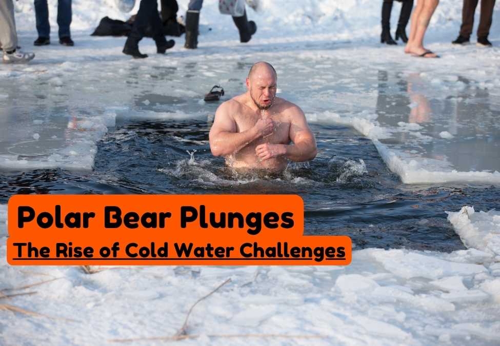 Polar Bear Plunges: The Rise of Cold Water Challenges