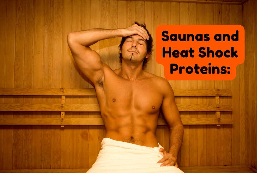 Saunas and Heat Shock Proteins: Why they are Good for You