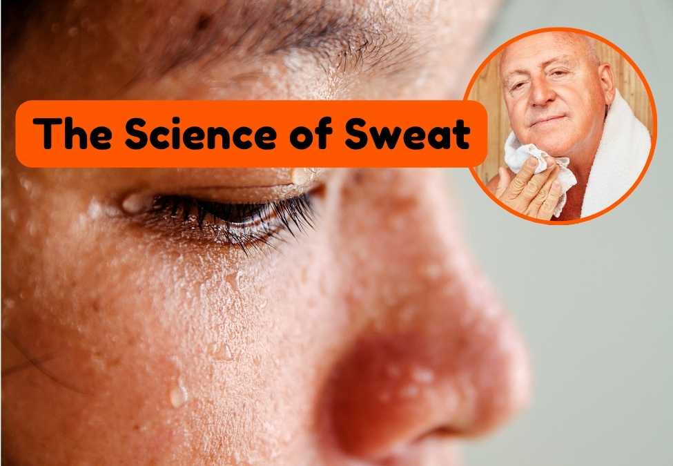 The Science of Sweat: What's Really Coming Out?