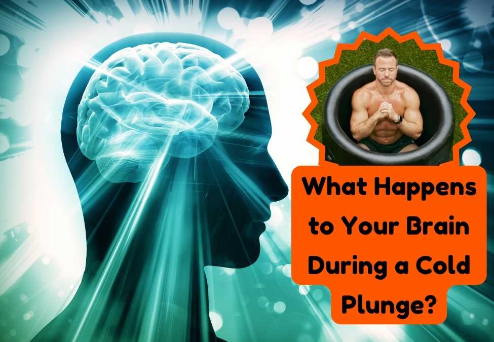 What Happens to Your Brain During a Cold Plunge