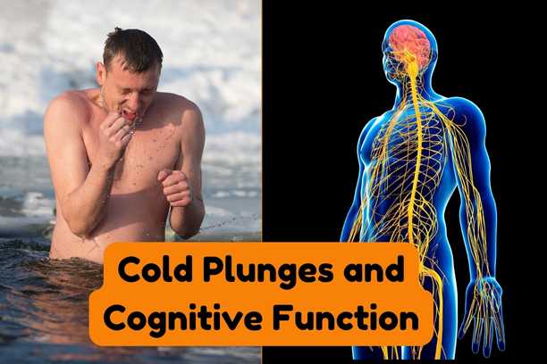 Cold Plunge for Brain Power: Boost Focus & Cognition