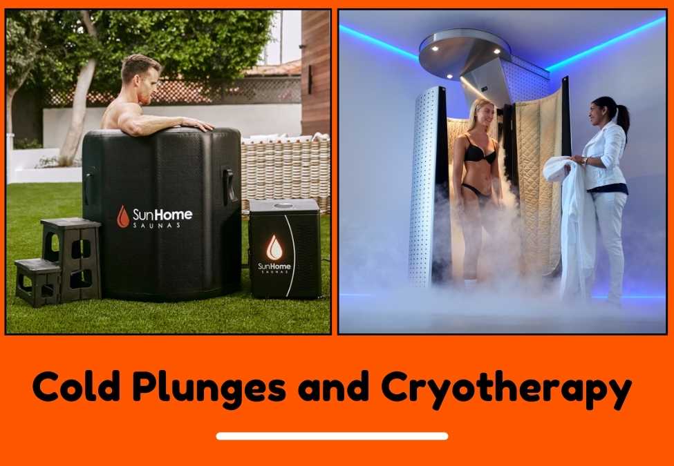 Cold Plunges and Cryotherapy: What is the Difference?