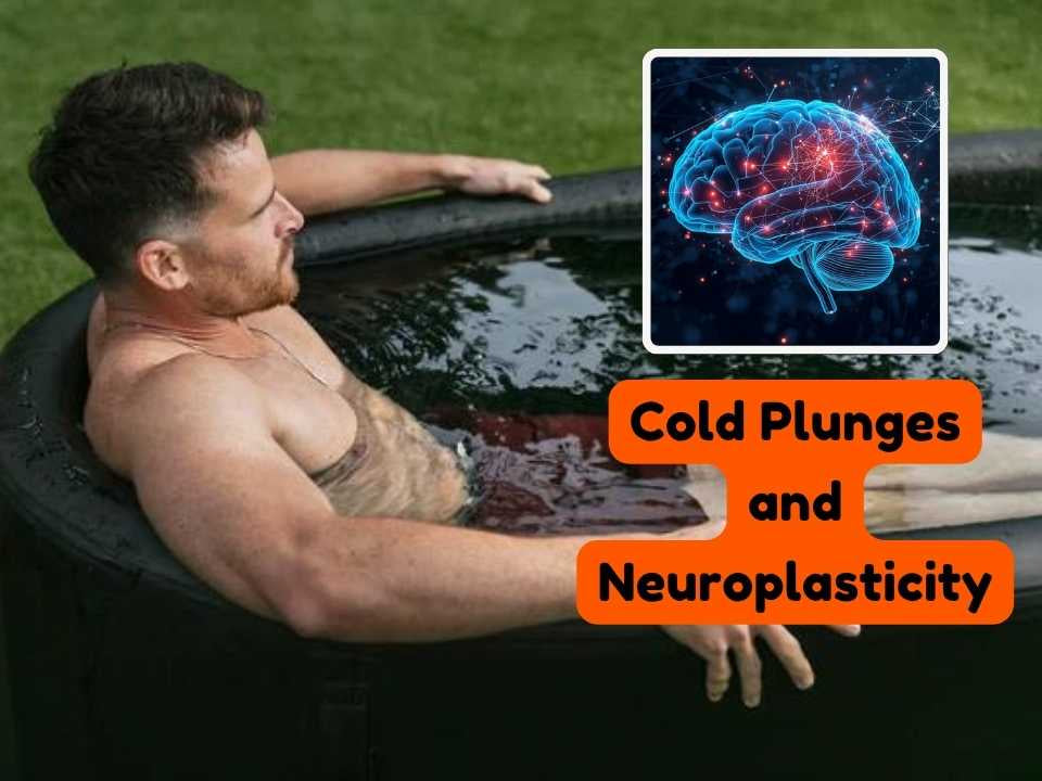 Cold Plunges and Neuroplasticity: The Cold Brain Boost for Mental Clarity