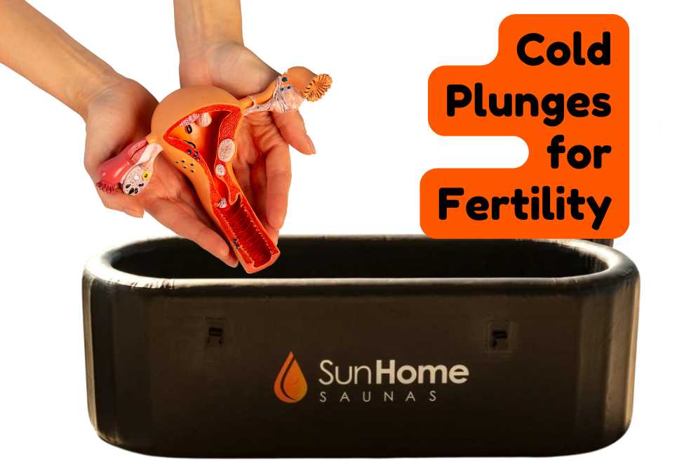 Cold Plunge & Fertility: Can Cold Improve Reproductive Health?