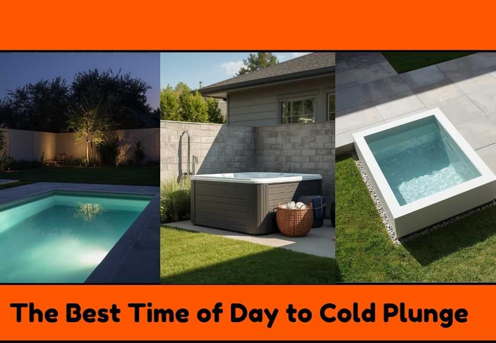 The Best Time of Day to Cold Plunge Based on Goals: Morning, Noon, or Night?