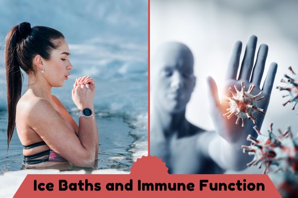 Ice Baths & Immune Function: Can Cold Therapy Help?